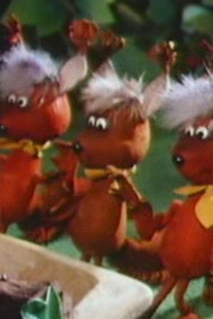 Misi Mókus kalandjai