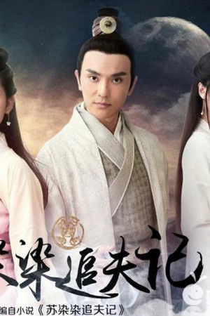 苏染染追夫记