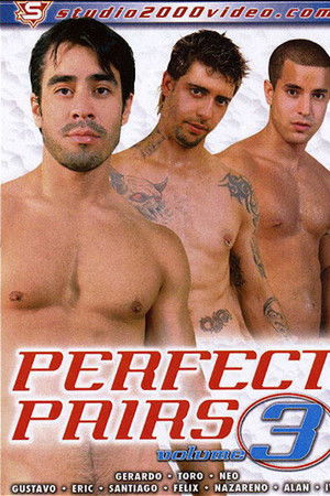 Perfect Pairs 3