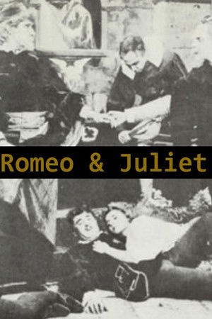 Romeo and Juliet, A Romantic Story of the Ancient Feud Between the Italian Houses of Montague and Capulet