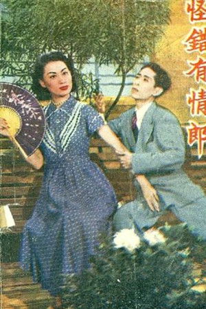 玉龍癡鳳（又名：怪錯有情郎）