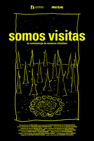 Somos visitas