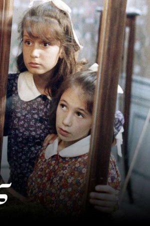 Το καπλάνι της βιτρίνας