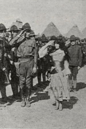 The Little Boy Scout