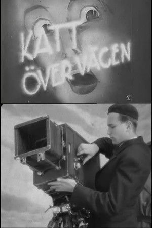 Katt över vägen
