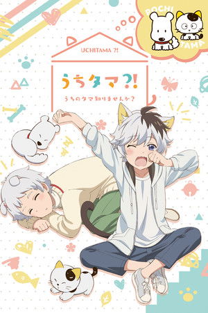 うちタマ?! ～うちのタマ知りませんか？～