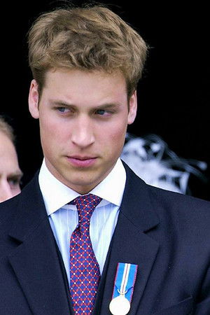 The Princes and the Press