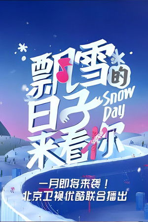 飘雪的日子来看你
