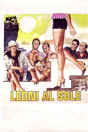 Leoni al sole