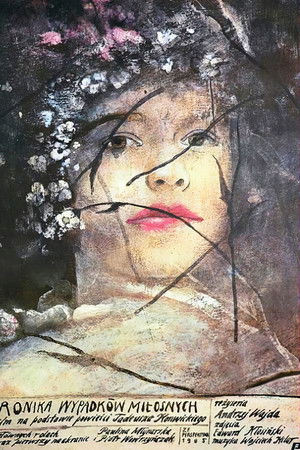 Kronika wypadków miłosnych