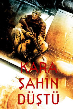 Kara Şahin Düştü