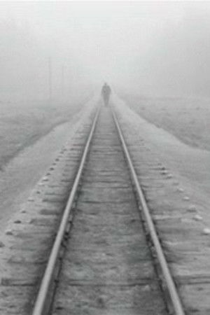 Kelionė ūkų lankomis