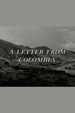 A Letter from Colombia