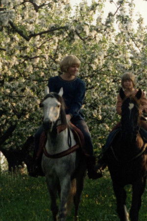 Bröderna Lejonhjärta