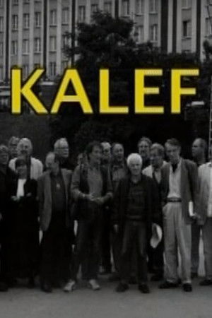 Kalef - A Moszkva téri galeri