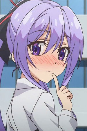 俺が好きなのは妹だけど妹じゃない