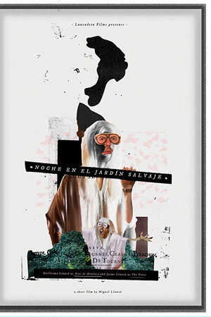 Night in the Wild Garden