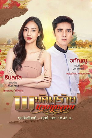 พยัคฆ์ร้ายนายกุหลาบ