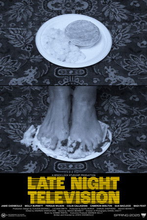 Late Night Television