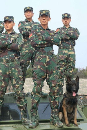 特种兵之霹雳火