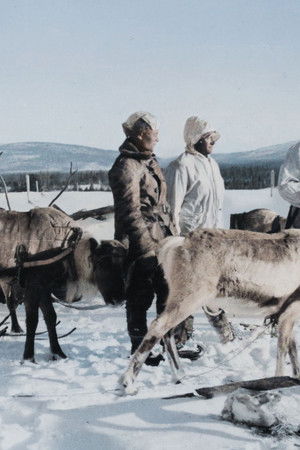 Vaietut arktiset sodat