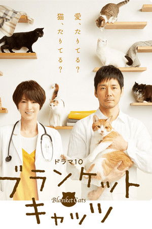 ブランケット・キャッツ