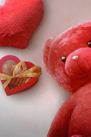 في الحب... والحياة