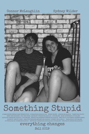 Something Stupid Something Stupid