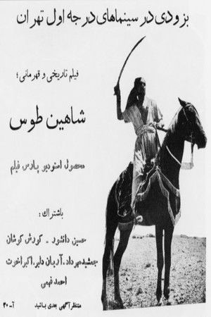 Shahin Toos Shahin Toos