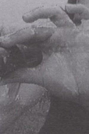 Luna 10 (The Butterfly Effect of Geography) Luna 10 (The Butterfly Effect of Geography)