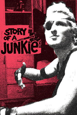Story of a Junkie Story of a Junkie
