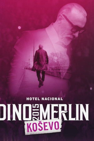 Dino Merlin Live at Kosevo 2015