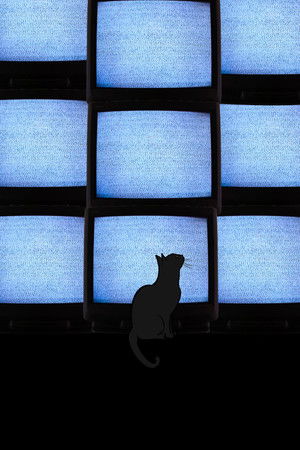 The Coolest Guy In School The Coolest Guy In School