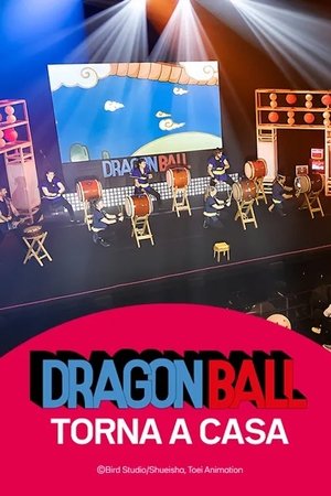 Bola de Drac torna a casa