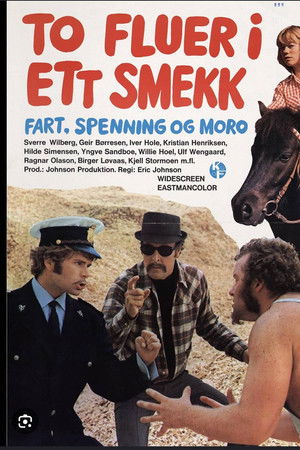 To fluer i ett smekk To fluer i ett smekk