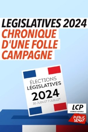 Législatives 2024 : chronique d'une folle campagne Législatives 2024 : chronique d'une folle campagne