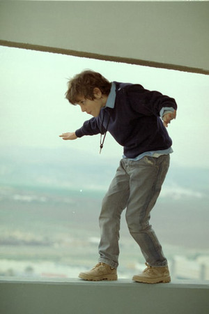 Sea Horses Sea Horses