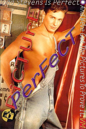 Picture Perfect Picture Perfect