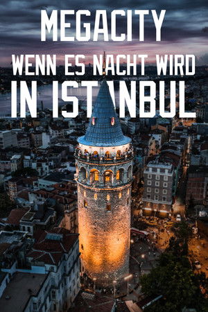 Megacity: When Night Falls in Istanbul Megacity: When Night Falls in Istanbul