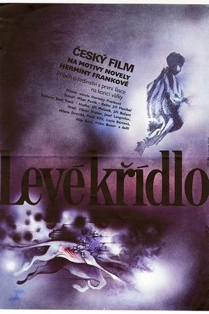 Levé křídlo Levé křídlo