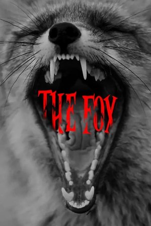 The Fox The Fox