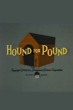 Hound for Pound