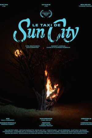 Le taxi de Sun City Le taxi de Sun City