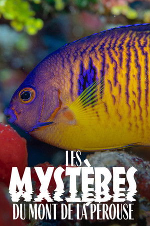 The mysteries of Mont La Pérouse The mysteries of Mont La Pérouse