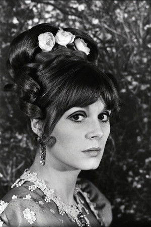 The Double Contempt The Double Contempt