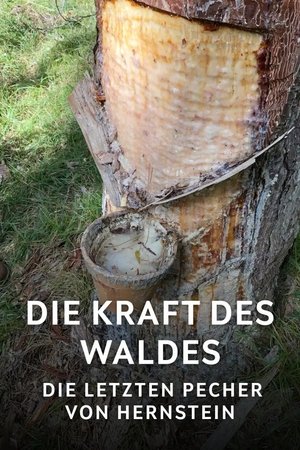 Die Kraft des Waldes - Die letzten Pecher von Hernstein Die Kraft des Waldes - Die letzten Pecher von Hernstein