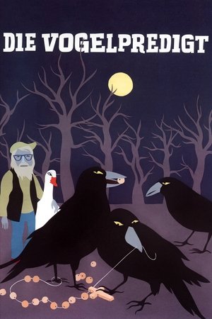 St. Francis Birds Tour St. Francis Birds Tour