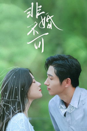 非婚不可 非婚不可