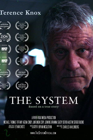 The System The System