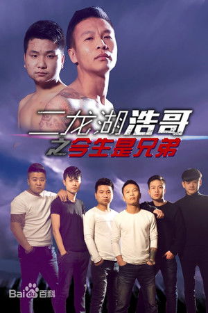 二龙湖浩哥之今生是兄弟